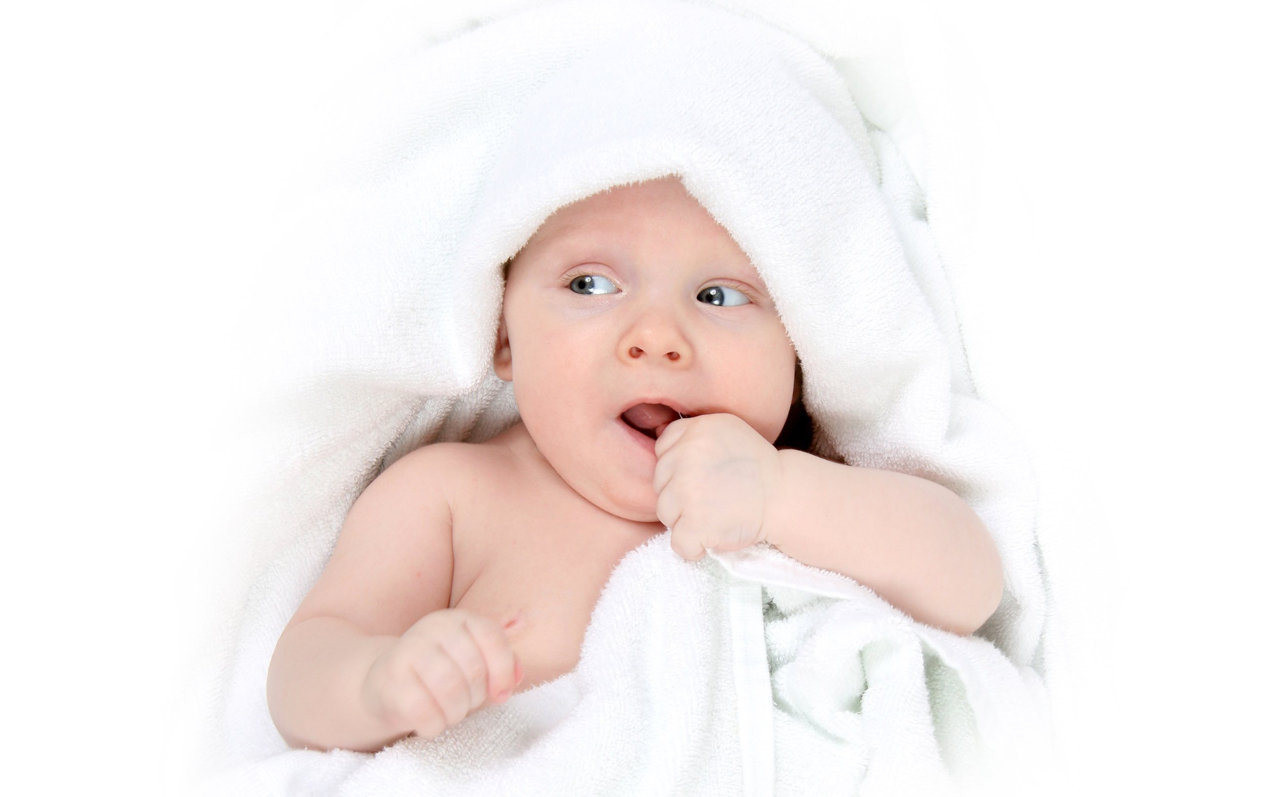 捐卵子电话温一院试管婴儿成功率